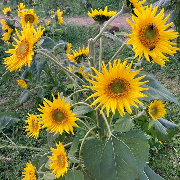 Meet your Posher, Marco - Picture 1 of 1